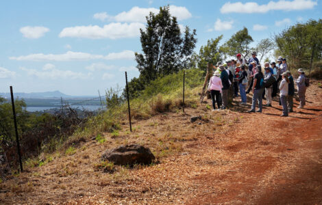 In A Hidden Hawaiʻi Gulch, A Wartime Secret Opens To The Public